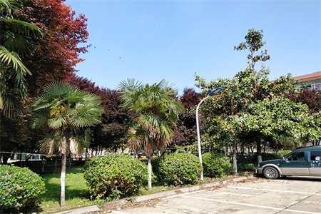 急售滕州大同天下瀚香苑优质全景房！